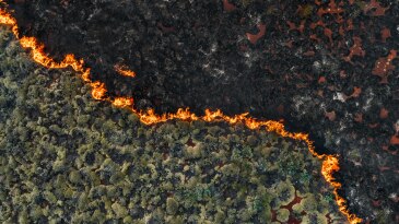 Wildfire Response through Advanced Utility Control Room Technology | AspenTech OSI Fire Zone Management