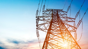 Strengthening the Grid: Flexible DER Integration (APAC webinar)