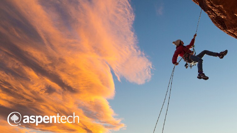 White Paper: Optimize CAPEX, Reduce Risk and Maximize Performance Across the Plant & Enterprise Lifecycle.