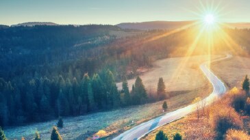 White Paper: Proactive Decision-Making for Emissions Management: The Roadmap to Net Zero. 